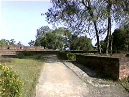 sra059.jpg 