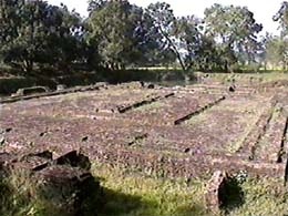 sra062.jpg (
